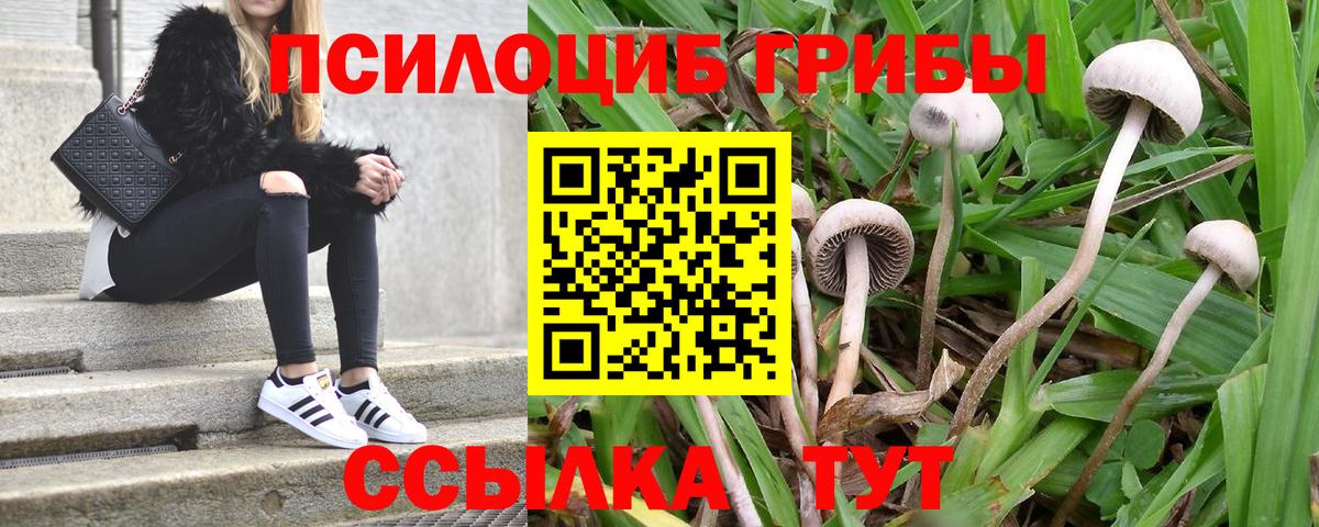 Удомля  Псилоцибиновые грибы Psilocybine cubensis  наркошоп  Галлюциногенные грибы мицелий  Вход с VPN 