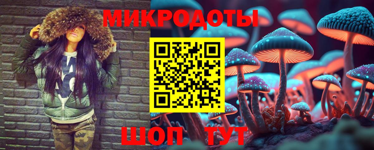 Галлюциногенные грибы прущие грибы Удомля